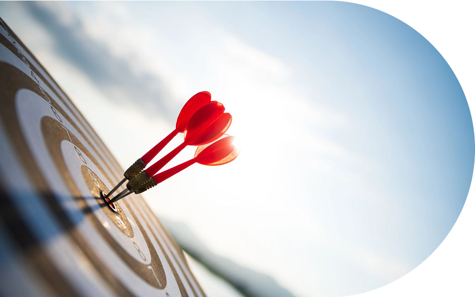 Syphurine and Partners Advocates Objectives